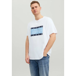 T-SHIRT JOSHUA PS JACK & JONES.