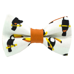NOEUD PAPILLON MISTER...