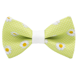 NOEUD PAPILLON MARGUERITE...