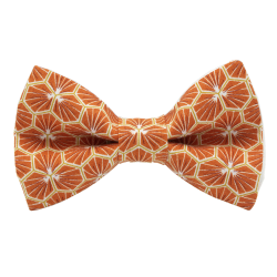 NOEUD PAPILLON POLYGONE JAGGS.