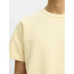 T-SHIRT SEERSUCKER SELECTED.