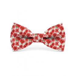 NOEUD PAPILLON MR CELESTIN.